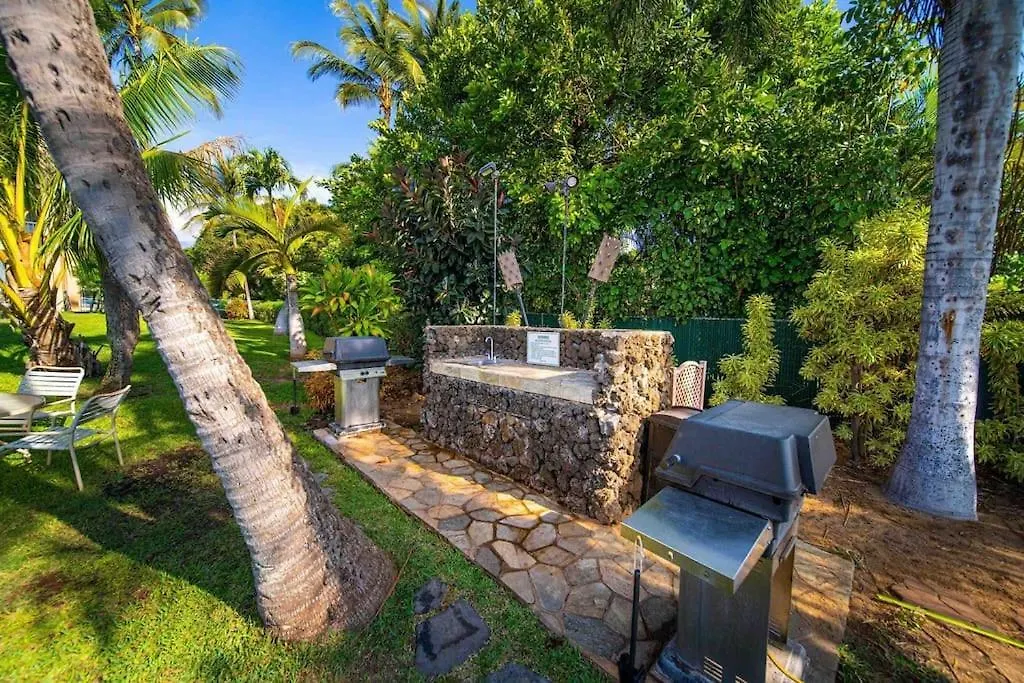Maui Oceanfront Haven: Beachside Retreat with Turtle & Whale Watching Wailuku