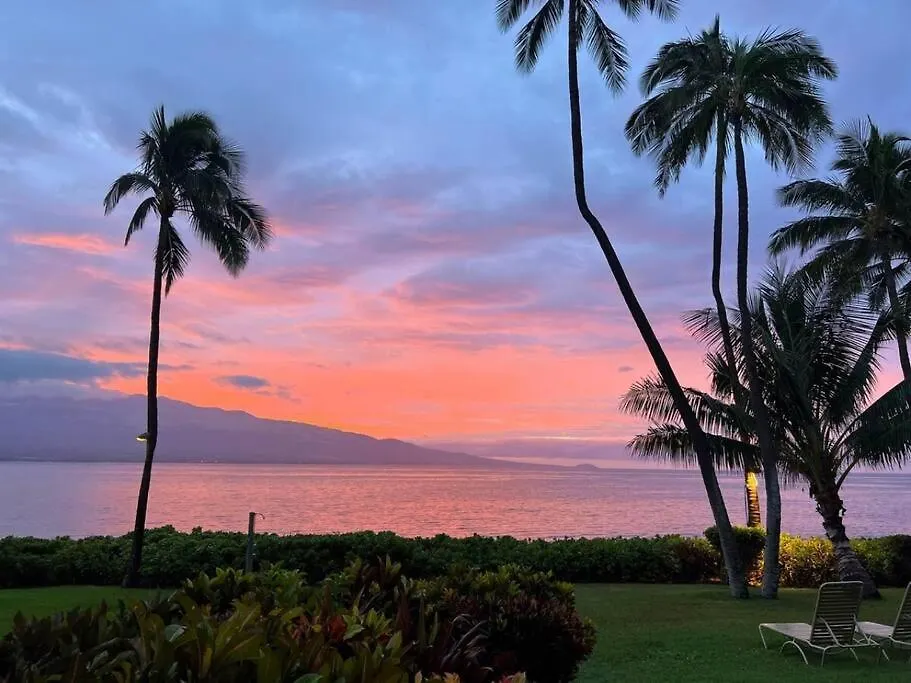 Maui Oceanfront Haven: Beachside Retreat with Turtle & Whale Watching Wailuku